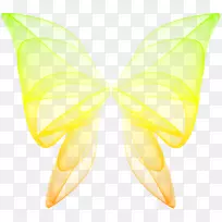 蛾对称-空若网 蛾对称-空若网