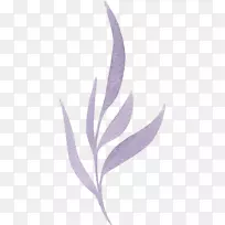 水彩画-空若网 水彩画-空若网