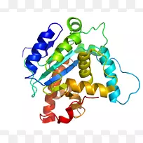 �����ʽṹ����������ѧ-������