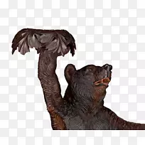 野生动物-棕熊-空若网 野生动物-棕熊-空若网