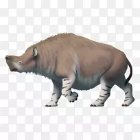 始新世犀牛叶蜂-空若网 始新世犀牛叶蜂-空若网