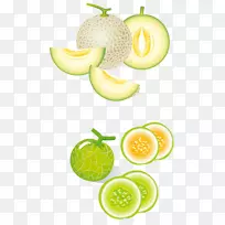 哈密瓜、蜜瓜、猕猴桃-创绿瓜果-空若网 哈密瓜、蜜瓜、猕猴桃-创绿瓜果-空若网