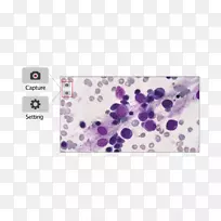 摄像机数据管理cmos文本文件照相机-空若网 摄像机数据管理cmos文本文件照相机-空若网