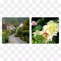 花型设计切花花束花园小猴子撒花-空若网 花型设计切花花束花园小猴子撒花-空若网