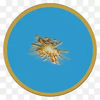 有机体天空plc-空若网 有机体天空plc-空若网