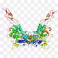 代谢型谷氨酸受体3代谢受体-受体-空若网 代谢型谷氨酸受体3代谢受体-受体-空若网