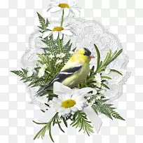 ���Ĳ��ͺ쾰��-������