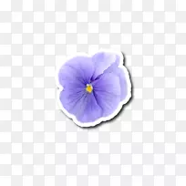 摄影剪贴簿pansy贴纸博客-空若网 摄影剪贴簿pansy贴纸博客-空若网