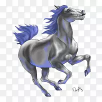 野马的生日-人-空若网 野马的生日-人-空若网