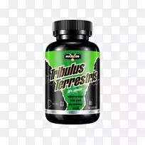 鸟氨酸精氨酸赖氨酸氨基酸激素-空若网 鸟氨酸精氨酸赖氨酸氨基酸激素-空若网