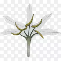 °¢À±È¿¨¿§·ÈÌüµçÓ°Ôº¿§·Èµê-¿§·È-¿ÕÈôÍø °¢À±È¿¨¿§·ÈÌüµçÓ°Ôº¿§·Èµê-¿§·È-¿ÕÈôÍø