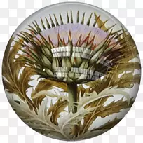 纸质玻璃博客餐具-中药牡丹-空若网 纸质玻璃博客餐具-中药牡丹-空若网