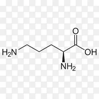 �����ᰱ����Ȱ��������װ����Ұ���-������