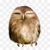 èͷӥ������������-èͷӥ-������