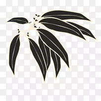 植物-植物-空若网 植物-植物-空若网