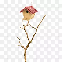 �������-����֦������-������