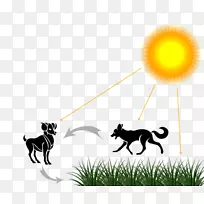 ��ѧ��ʵ���Ұ׾�����������ô�-��ѧ-������