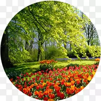 花季电视绘图-空若网 花季电视绘图-空若网