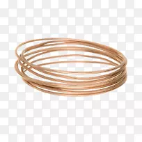 手镯铜材料.罗德里格斯岛的纸牌鸟-空若网 手镯铜材料.罗德里格斯岛的纸牌鸟-空若网