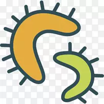 大肠菌群细菌微生物科学-毛状病毒无细胞PNG和PSD-空若网 大肠菌群细菌微生物科学-毛状病毒无细胞PNG和PSD-空若网