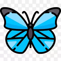 帝王蝴蝶对称剪贴画蝴蝶-空若网 帝王蝴蝶对称剪贴画蝴蝶-空若网