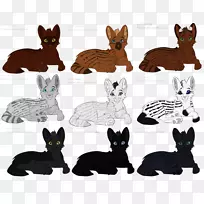 萨凡纳猫科野猫美洲狮-空若网 萨凡纳猫科野猫美洲狮-空若网