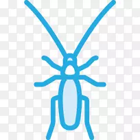 蟑螂虫害防治蚊虫蟑螂-空若网 蟑螂虫害防治蚊虫蟑螂-空若网