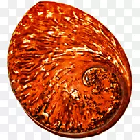 ͭ-������