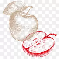 阿道夫·达博水果蜜饯食品-空若网 阿道夫·达博水果蜜饯食品-空若网