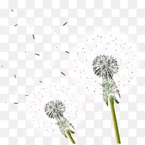 ��ͨ�ѹ�Ӣ-�����ѹ�Ӣ-������