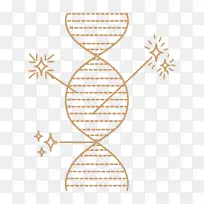 ����ͼ�������-������