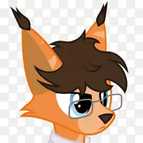 ���빷����һֻ������˹��β�����������-������