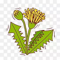 蒲公英花-空若网 蒲公英花-空若网