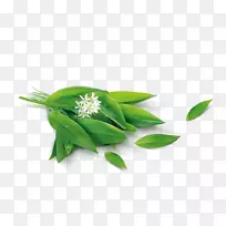 莱州市兆泰蔬菜有限公司叶草蔬菜有限公司-空若网 莱州市兆泰蔬菜有限公司叶草蔬菜有限公司-空若网