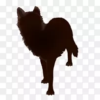 狗繁殖猫鼻子毛皮猫-空若网 狗繁殖猫鼻子毛皮猫-空若网