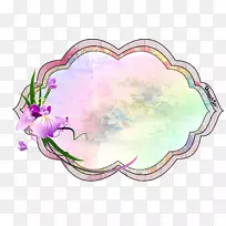 ������Ʋ�������Barakallah���-������