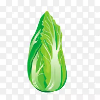 蔬菜大白菜-空若网 蔬菜大白菜-空若网