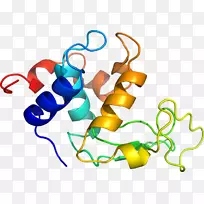 人体珠宝剪贴画.设计-空若网 人体珠宝剪贴画.设计-空若网