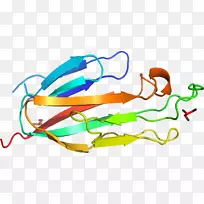 线点剪贴画-线-空若网 线点剪贴画-线-空若网