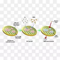 透射电镜石墨烯二维材料二硫化钼氮化硼-空若网 透射电镜石墨烯二维材料二硫化钼氮化硼-空若网