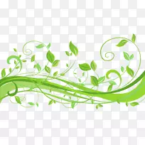 剪贴画-肉质边界-空若网 剪贴画-肉质边界-空若网