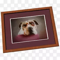 犬种小狗鼻子相框-三维正方形商业下巴-空若网 犬种小狗鼻子相框-三维正方形商业下巴-空若网