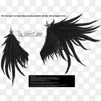 下载翅膀剪贴画-火焰笔记图片大全-空若网 下载翅膀剪贴画-火焰笔记图片大全-空若网