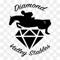 ��ʯ����ͼ����ʯ�鱦��ָ��������-������