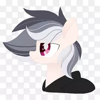 马术-泰迪秀-空若网 马术-泰迪秀-空若网