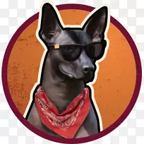 狗繁殖鼻子食物饮料狗-空若网 狗繁殖鼻子食物饮料狗-空若网