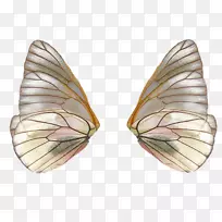 仙女-空若网 仙女-空若网