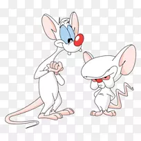 ʵ���Һؿ������Ӽ�����-������