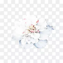 ˮ�ʻ����-������