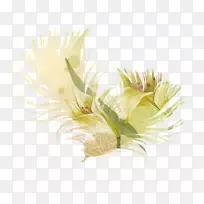 Internet剪切、复制和粘贴-空若网 Internet剪切、复制和粘贴-空若网